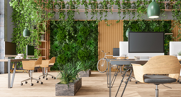 Végétalisation des bureaux