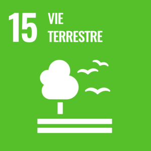 Forêts, désertification et biodiversité