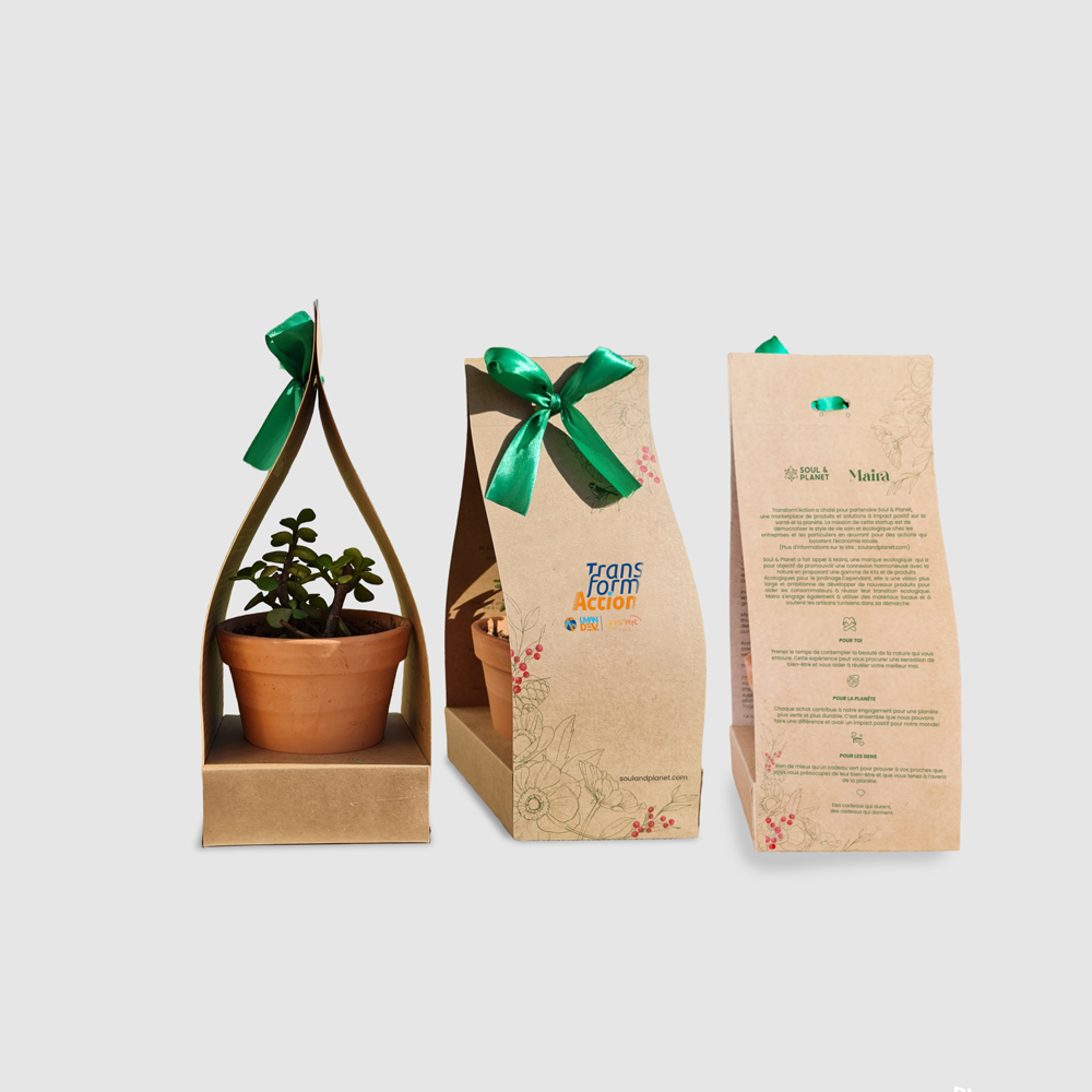 Mini live plant -Live plant
