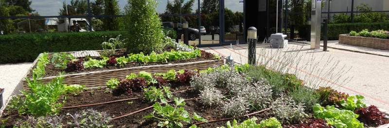 Un potager